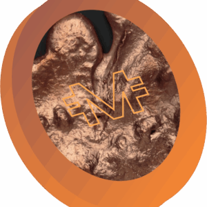 MDA Bronze